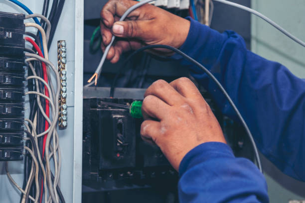 Best Ceiling Fan Installation Electrician  in Lomita, CA